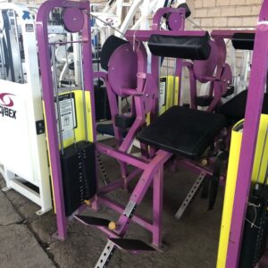Used Cybex Back Extension