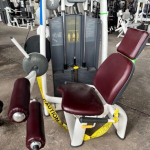 Used Technogym Leg Curl